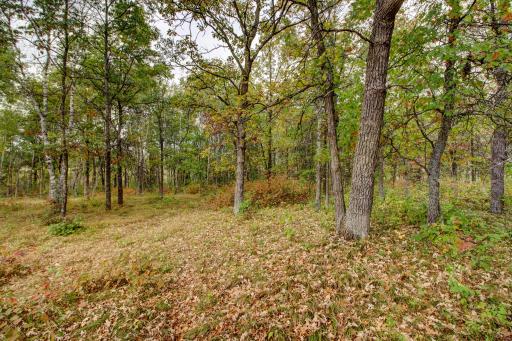 851 E Blueberry River Drive, Menahga, MN 56464