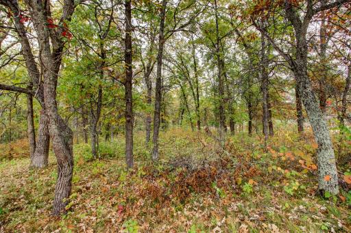 851 E Blueberry River Drive, Menahga, MN 56464