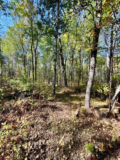 4125 94th Avenue NW, Roosevelt, MN 56673