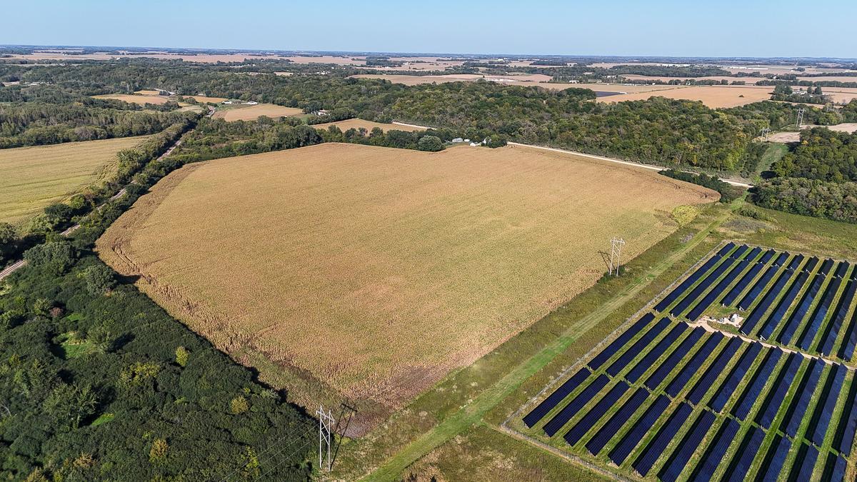 Photo Sep 25 2025, 4 26 08 PM.jpg