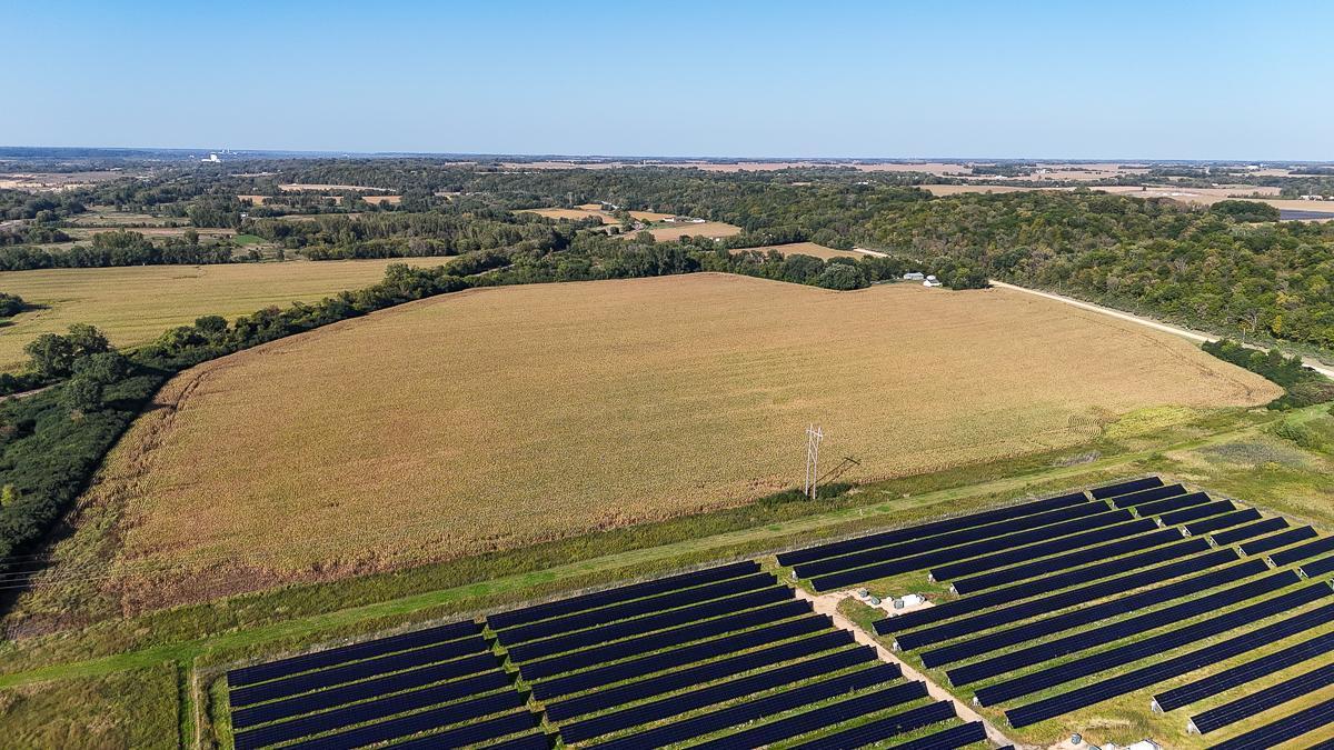 Photo Sep 25 2025, 4 26 54 PM.jpg