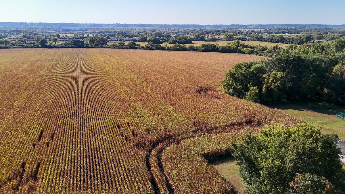 Photo Sep 25 2025, 4 35 06 PM.jpg