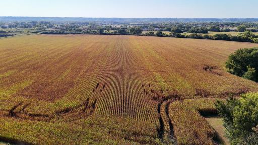 TBD Lime Valley Road, Mankato, MN 56001