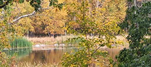 25864 11th Street W, Zimmerman, MN 55398