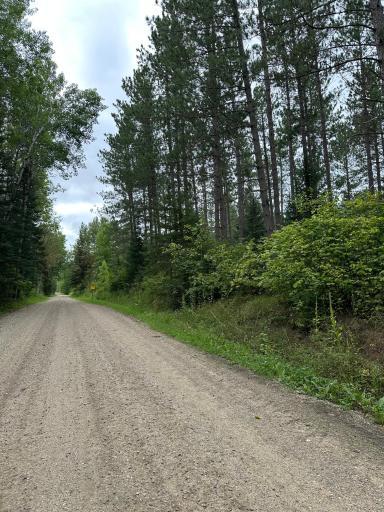 TBD 160 Acres Dentaybow, Littlefork, MN 56653