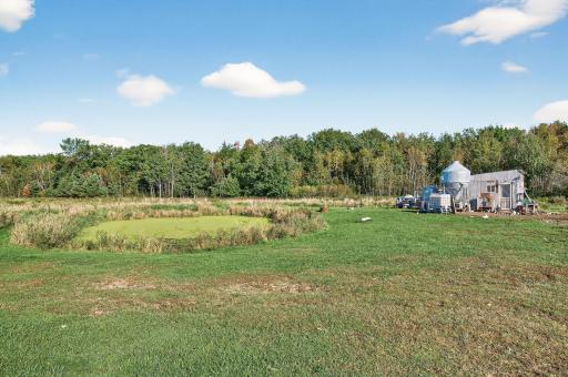 Pond and the chicken coop which will stay for your enjoyment