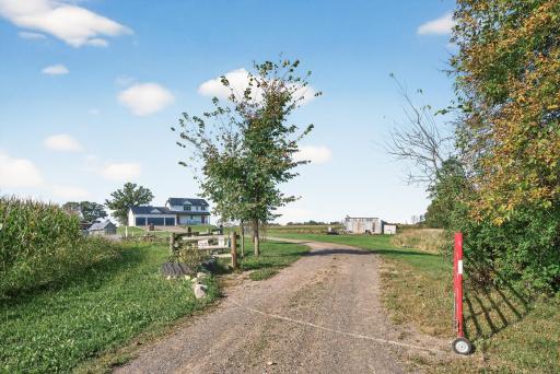 View from the driveway, very private and serene