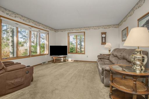 10194 Reardon Avenue SW, Cokato, MN 55321