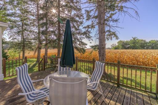 10194 Reardon Avenue SW, Cokato, MN 55321