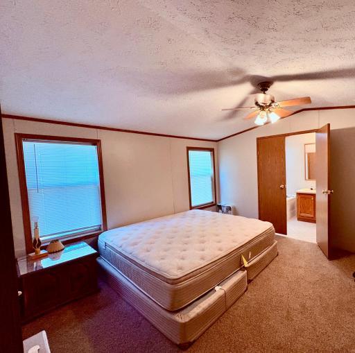 541 Wilderness Avenue, Williams, MN 56686