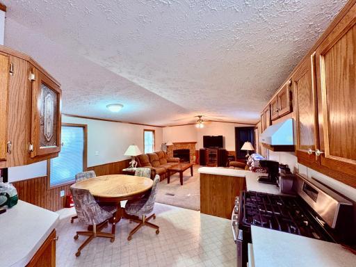 541 Wilderness Avenue, Williams, MN 56686