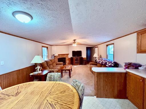 541 Wilderness Avenue, Williams, MN 56686