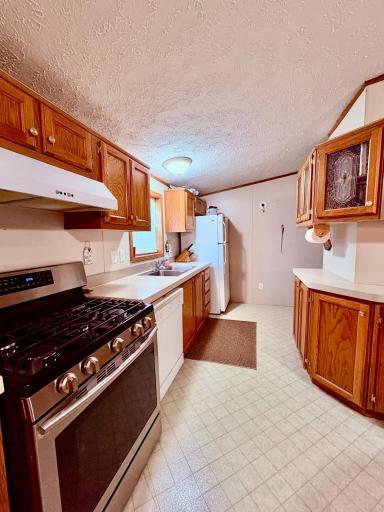 541 Wilderness Avenue, Williams, MN 56686