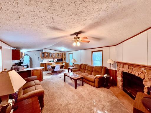 541 Wilderness Avenue, Williams, MN 56686