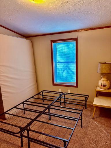 541 Wilderness Avenue, Williams, MN 56686