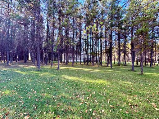 541 Wilderness Avenue, Williams, MN 56686
