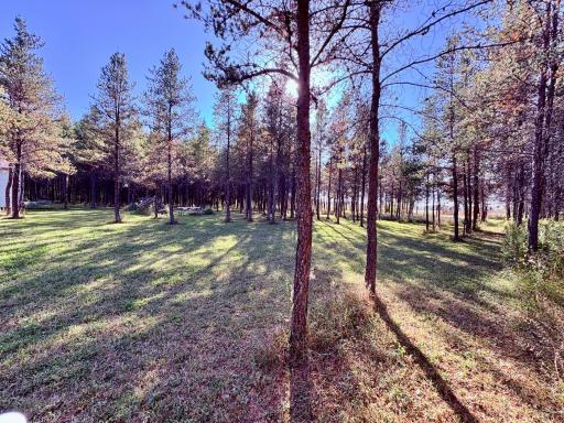 541 Wilderness Avenue, Williams, MN 56686