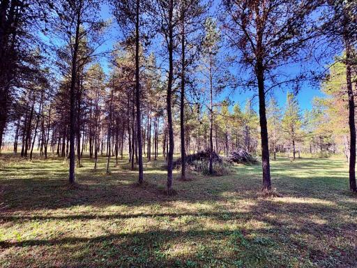 541 Wilderness Avenue, Williams, MN 56686