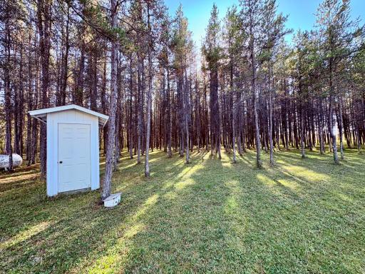 541 Wilderness Avenue, Williams, MN 56686