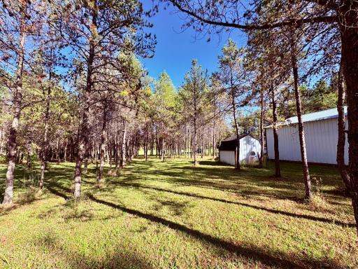 541 Wilderness Avenue, Williams, MN 56686