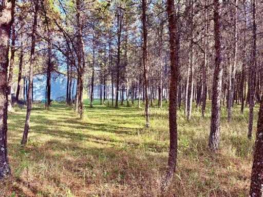 541 Wilderness Avenue, Williams, MN 56686