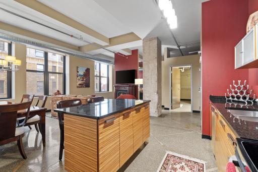 350 Saint Peter Street, 802, Saint Paul, MN 55102