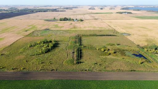 40 acres of agricultural land near Cosmos.