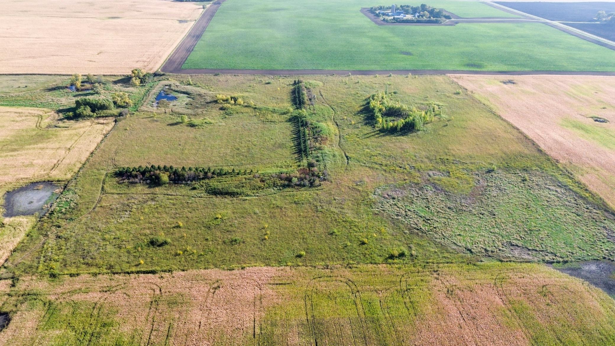 CRP - 2.3 acres will expire in 2026, the remainder of the 40 acres will expire in 2028.