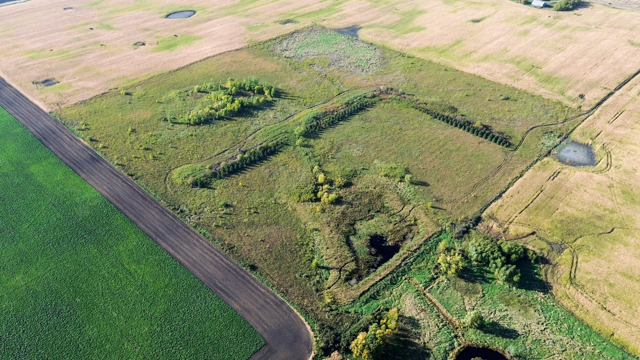 CRP - 2.3 acres will expire in 2026, the remainder of the 40 acres will expire in 2028.