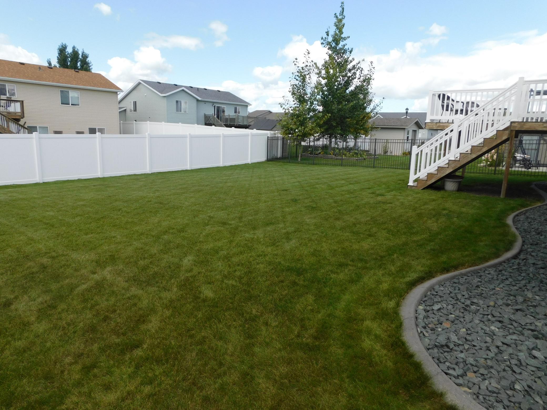 back yard