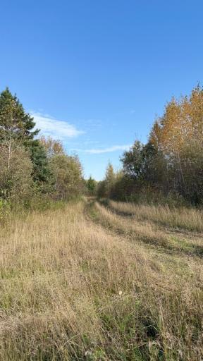 TBD S 80 Town Rd 6, Northome, MN 56661