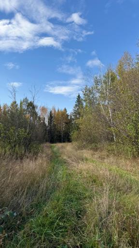 TBD S 80 Town Rd 6, Northome, MN 56661