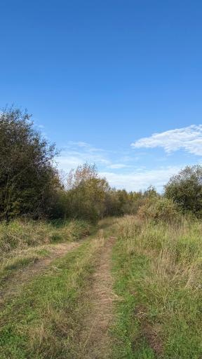 TBD S 80 Town Rd 6, Northome, MN 56661