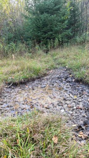 TBD S 80 Town Rd 6, Northome, MN 56661