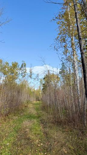 TBD S 80 Town Rd 6, Northome, MN 56661