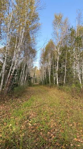 TBD S 80 Town Rd 6, Northome, MN 56661