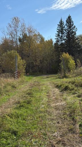 TBD S 80 Town Rd 6, Northome, MN 56661