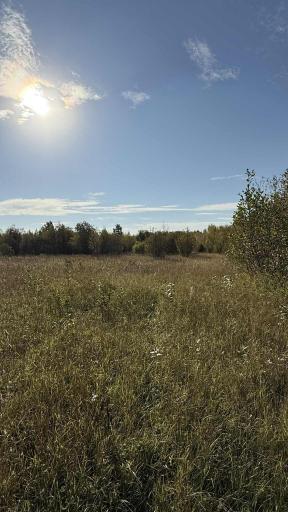 TBD S 80 Town Rd 6, Northome, MN 56661