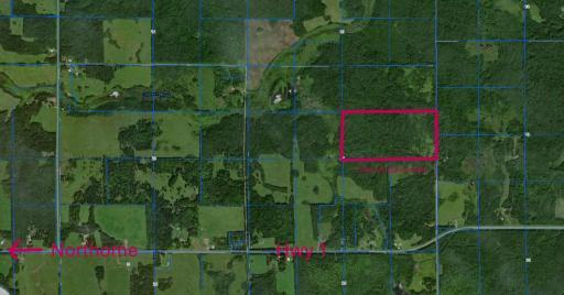 TBD S 80 Town Rd 6, Northome, MN 56661