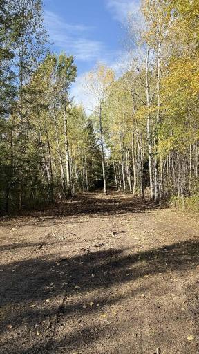 TBD S 80 Town Rd 6, Northome, MN 56661