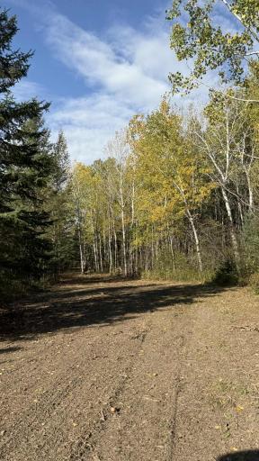 TBD S 80 Town Rd 6, Northome, MN 56661