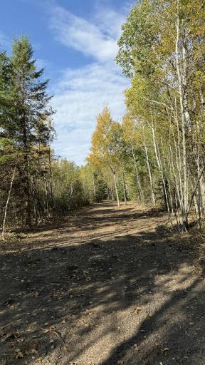 TBD S 80 Town Rd 6, Northome, MN 56661