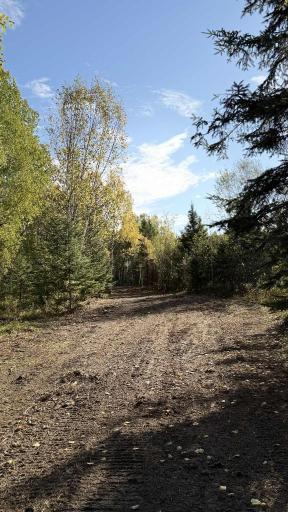 TBD S 80 Town Rd 6, Northome, MN 56661