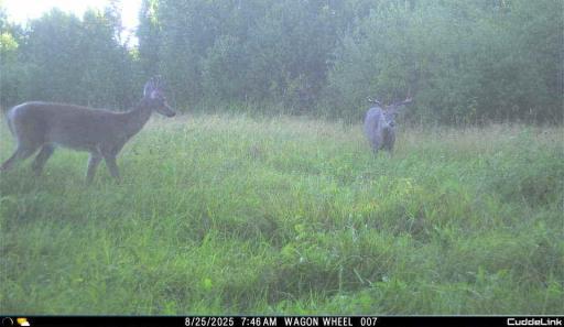 TBD S 80 Town Rd 6, Northome, MN 56661