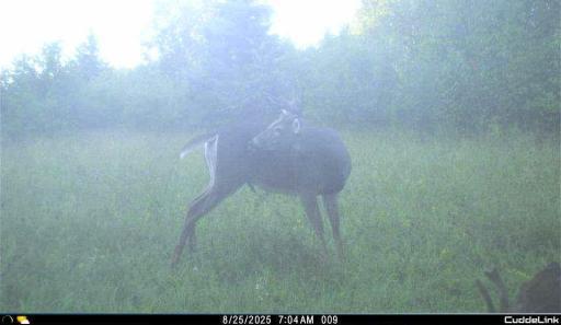 TBD S 80 Town Rd 6, Northome, MN 56661