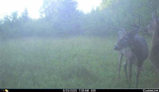 TBD S 80 Town Rd 6, Northome, MN 56661