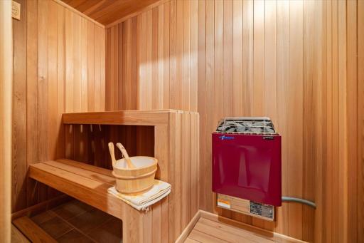 Finlandia Sauna in lower level