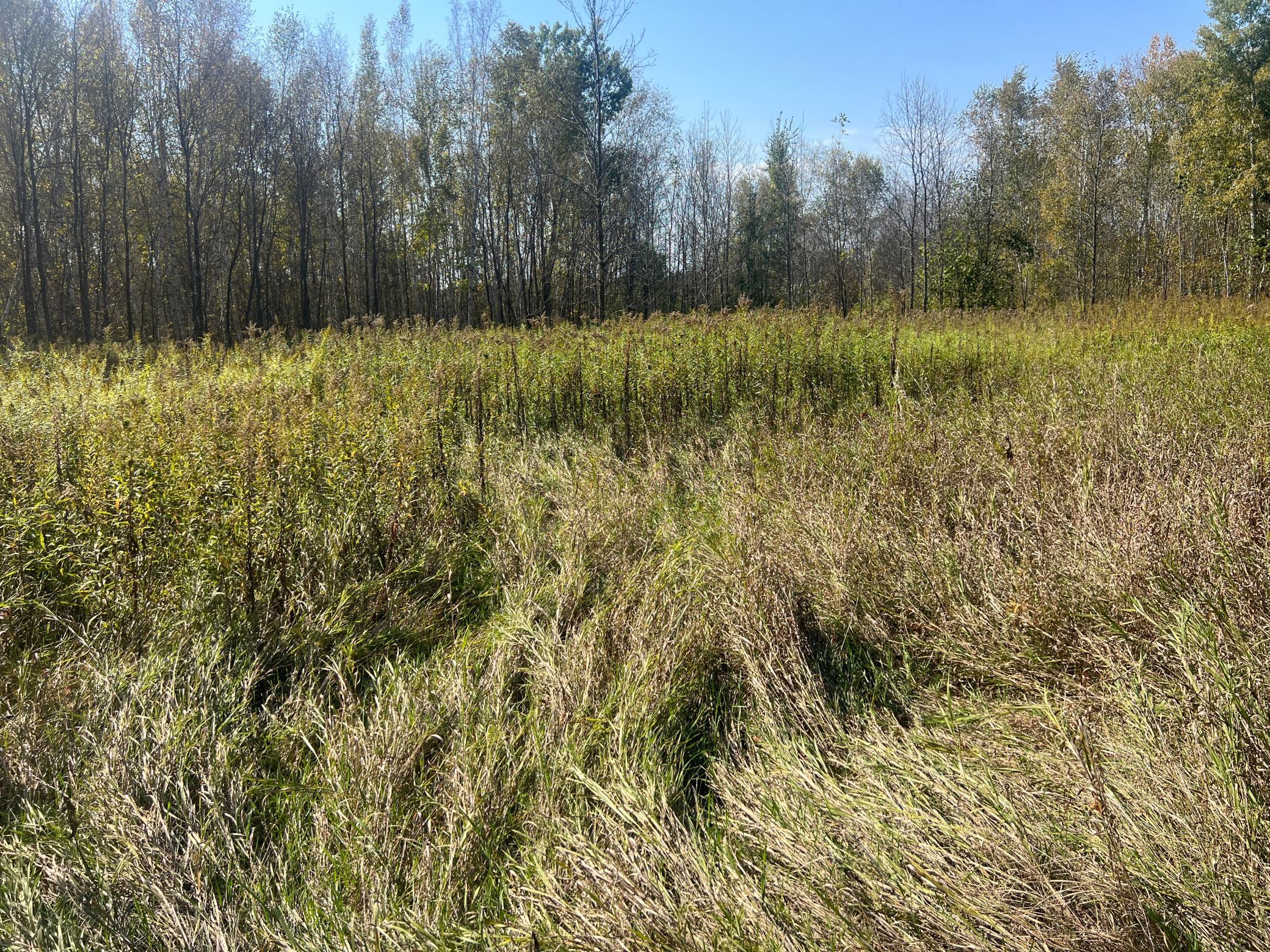 IMG_0292.JPG