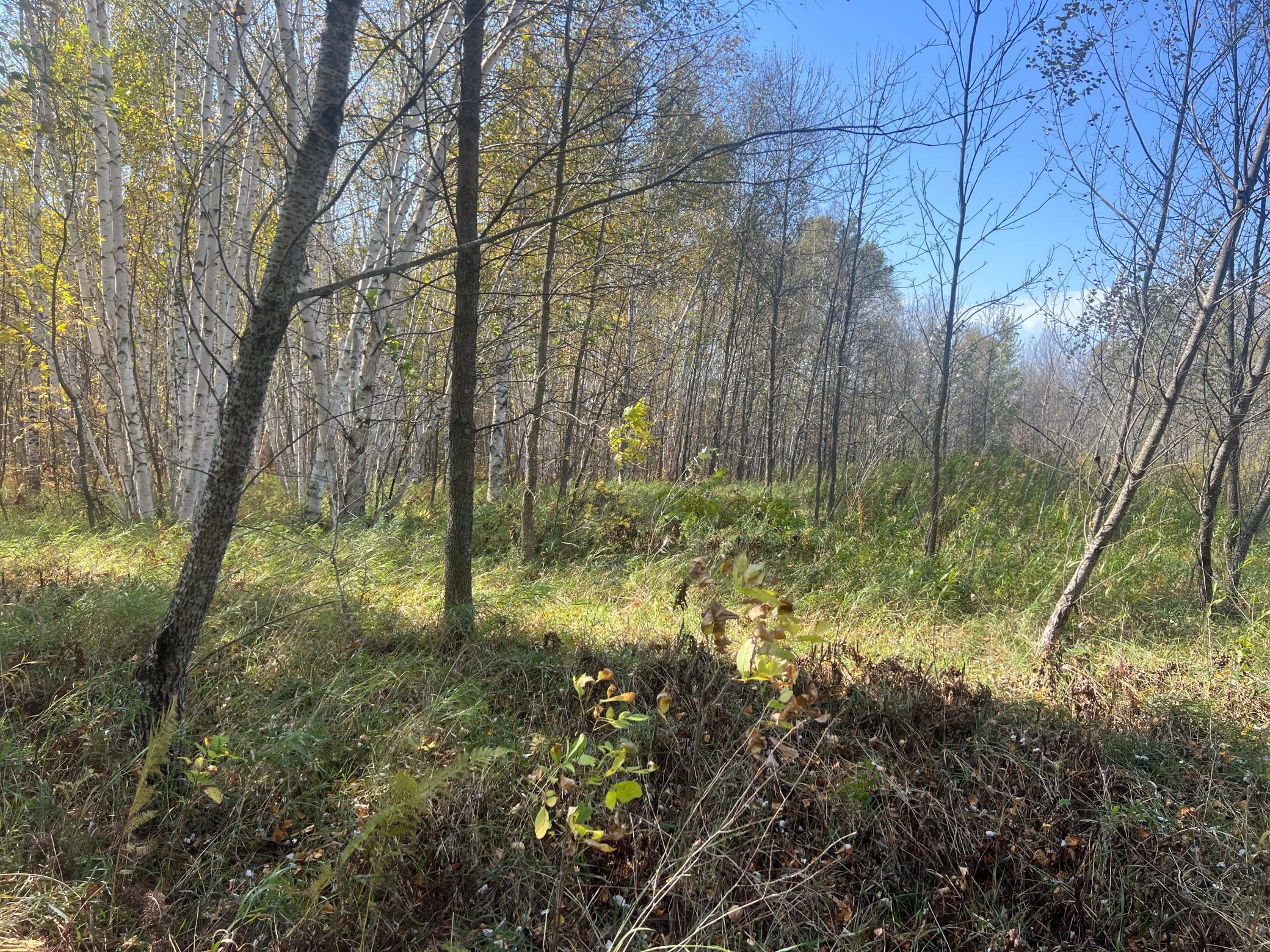 IMG_0297.JPG