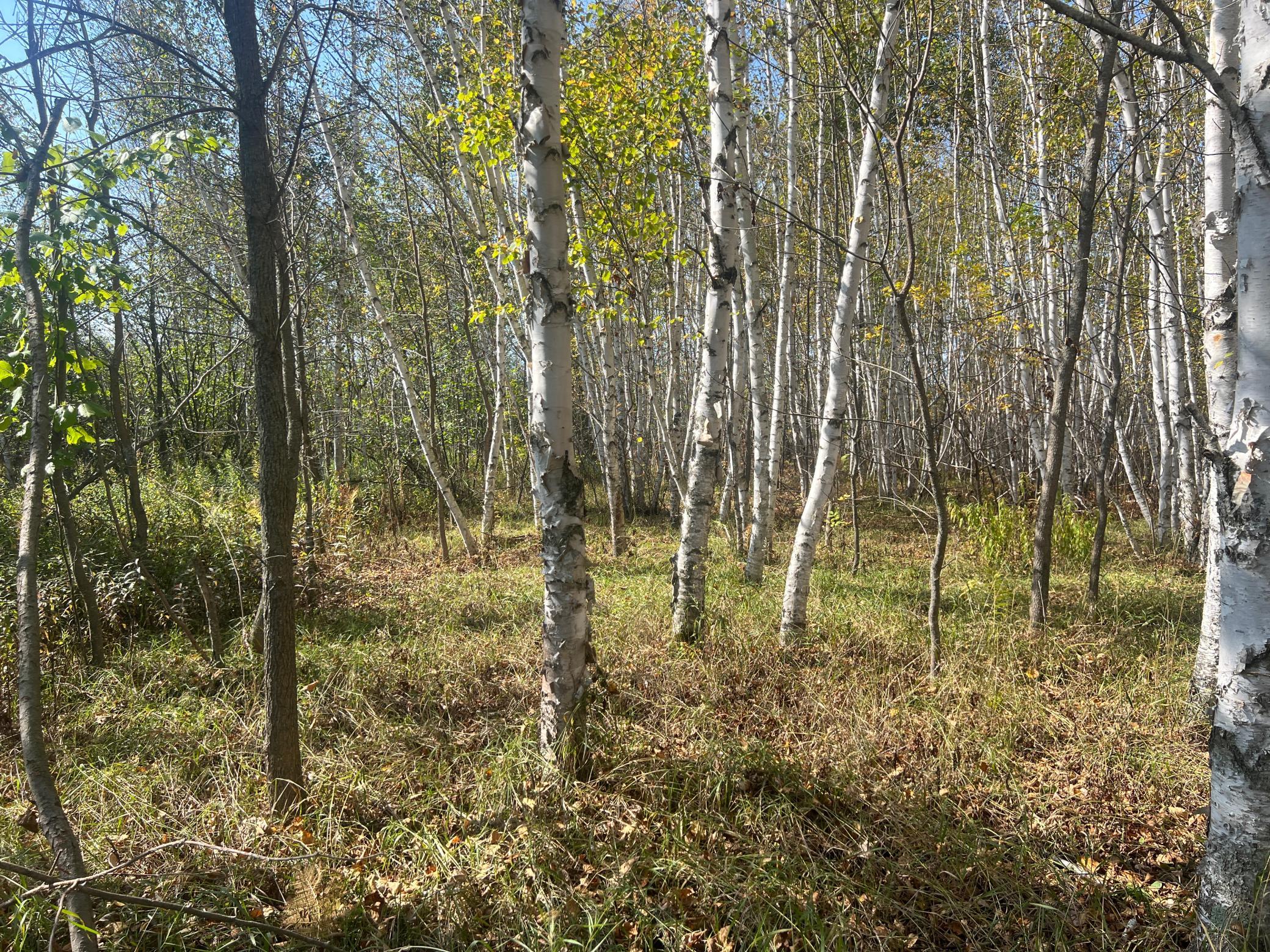IMG_0304.JPG